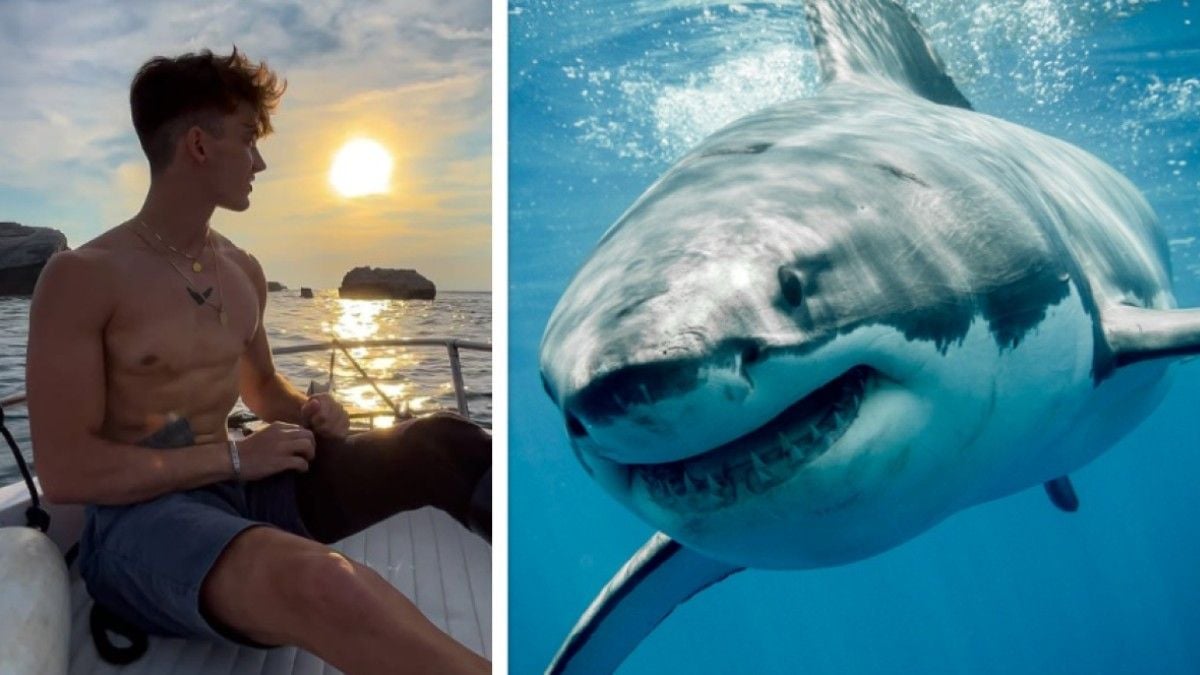 Matteo Mariotti et un requin
