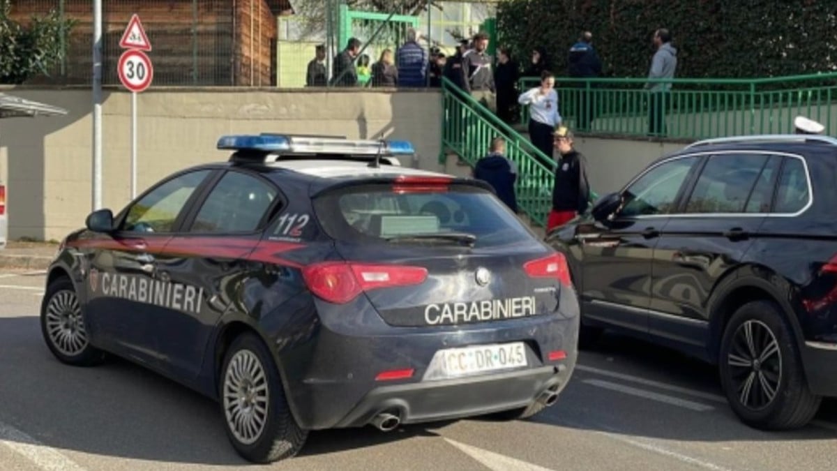 Un garçon de 2 ans se retrouve coincé dans un arbre à la crèche et meurt asphyxié 