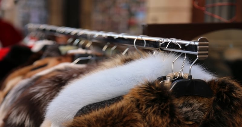 Première mondiale : Israël interdit le commerce de toute fourrure animale pour la mode