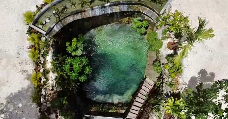 este extraordinario Airbnb ubicado en medio de la selva tiene su propio cenote