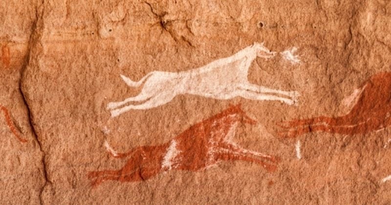 Voici à quoi ressemblait les chiens qui vivaient il y a 10 000 ans
