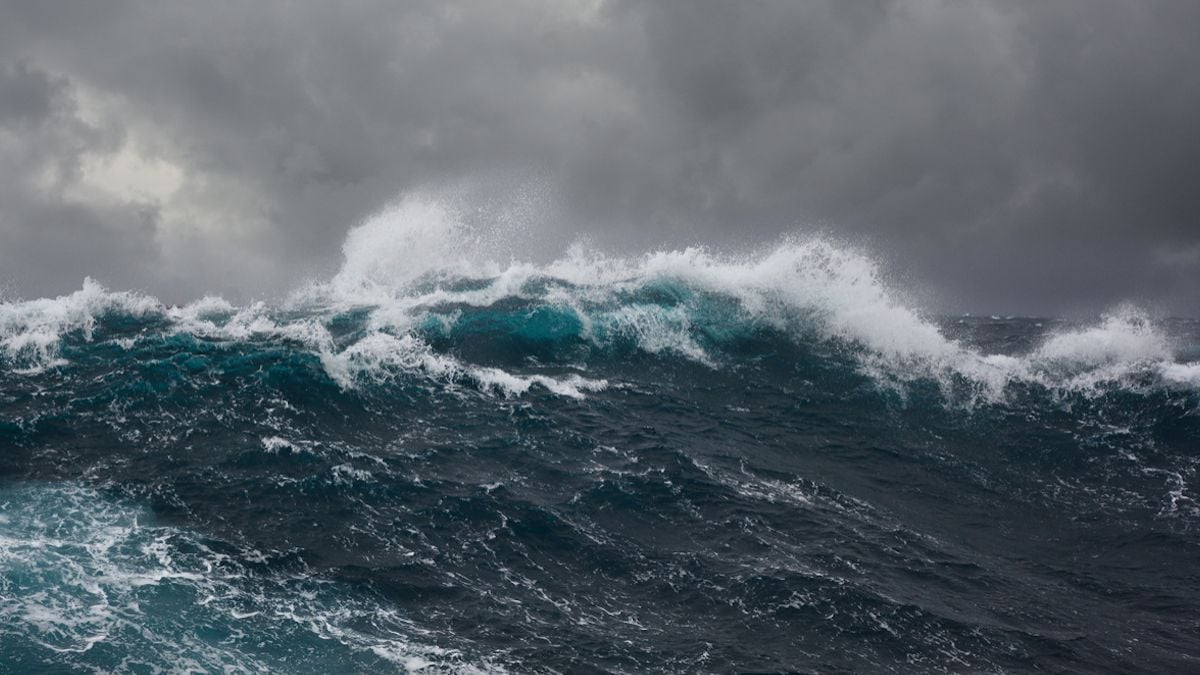 Selon une étude, l'océan est en train de s'assombrir et c'est une très mauvaise nouvelle