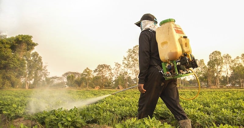 La Rochelle interdit l'utilisation des pesticides