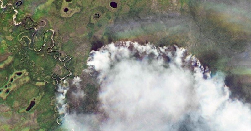 La toundra, un sol normalement glacé en Sibérie, est en feu à cause de la chaleur inhabituelle