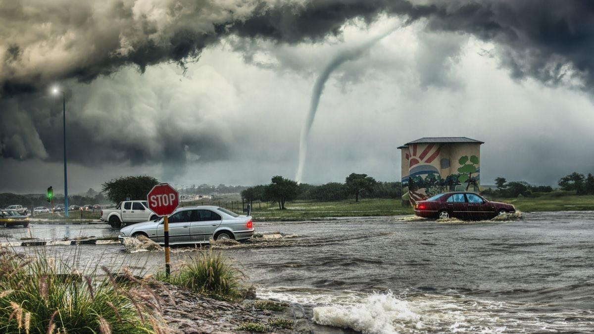 Les oiseaux tombent du ciel dans une vision d'apocalypse à cause de l'Ouragan Melissa