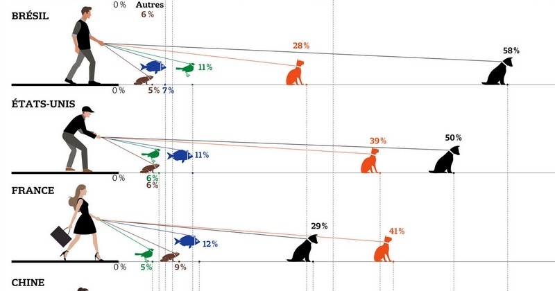 Cette infographie montre quels sont les animaux domestiques préférés à travers le monde