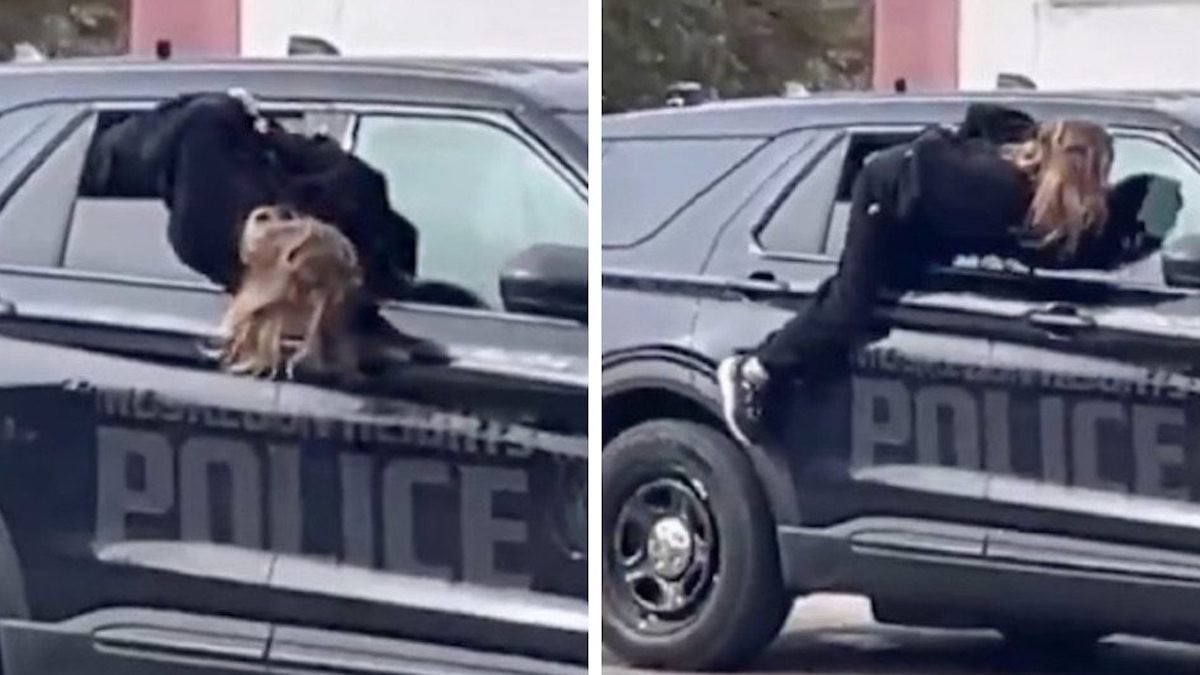 Une suspecte menottée dans une voiture de police s'enfuit par la fenêtre pendant que les agents regardent ailleurs