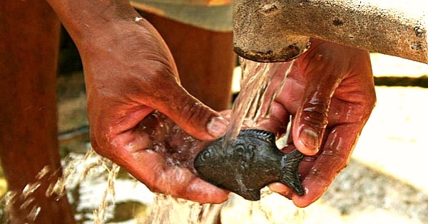 Vous ne devinerez jamais comment ce petit poisson de fer va sauver des millions de vies ! L'invention géniale d'un docteur canadien...