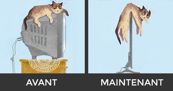 10 photos qui montrent comment les chats ont essayé de s'adapter à la technologie. La 8 est adorable !