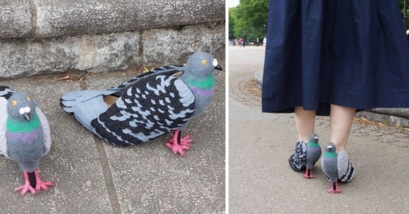 Pour ne plus faire peur aux pigeons, cette femme a décidé de se créer une paire de chaussures qui leur ressemblent ! 