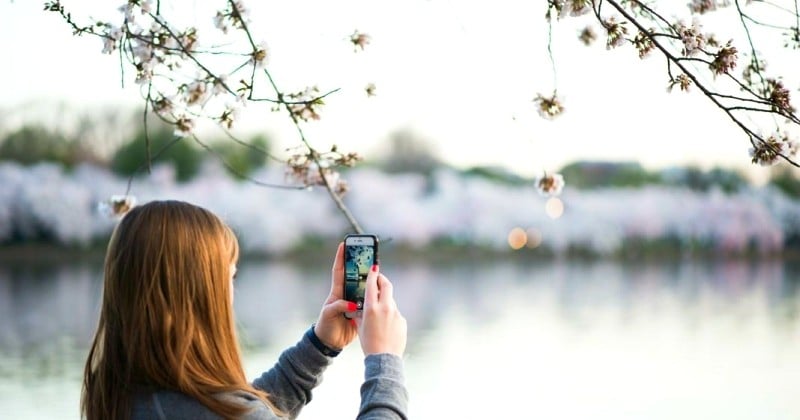 Grâce à « Seek », shazamez les plantes et les animaux en les photographiant