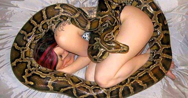 Elle dort tous les soirs avec son serpent de compagnie, mais ce qu'elle va découvrir ensuite aurait pu lui coûter la vie