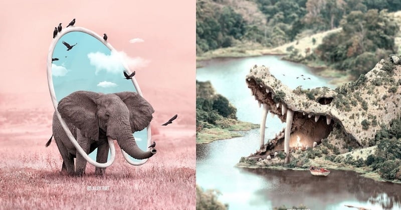 Cet artiste réinvente le monde animal avec ses créations amusantes et réussies