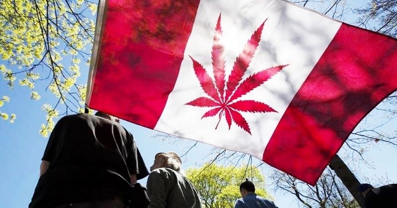 Le Canada devient le premier pays du G7 à légaliser le cannabis