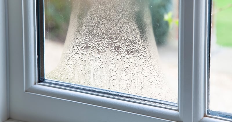 La condensation et l'humidité endommagent votre logement ? Voici comment lutter efficacement contre ce phénomène