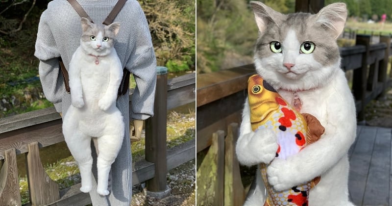Vous pensez voir un chat, mais il s'agit en réalité d'un sac à dos