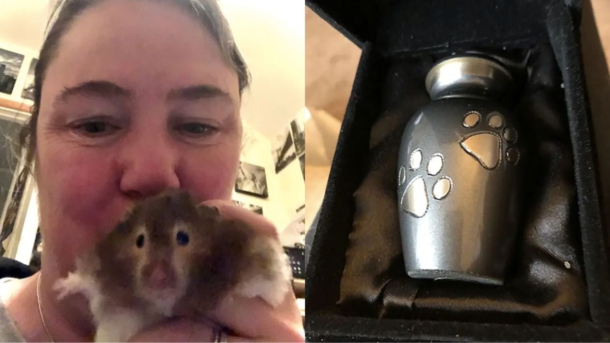 Détruite par la mort de son hamster, elle décide... d'emmener ses cendres en voyage