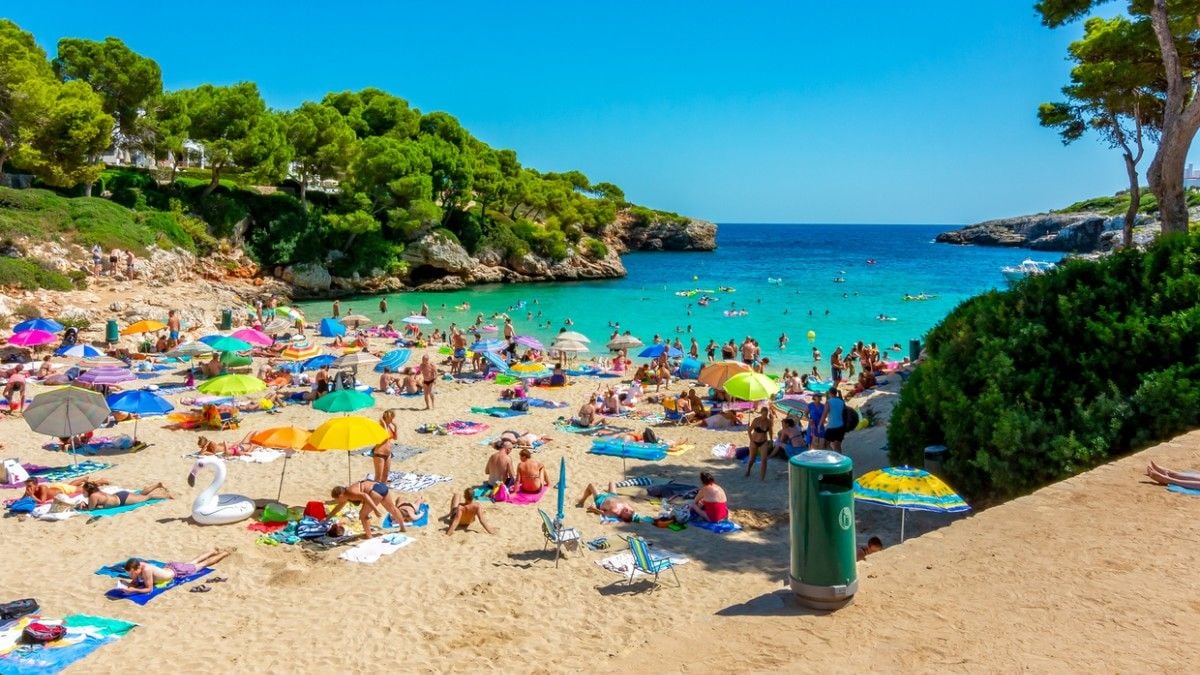Un mystérieux poisson attaque une octogénaire aux Baléares, la plage est évacuée