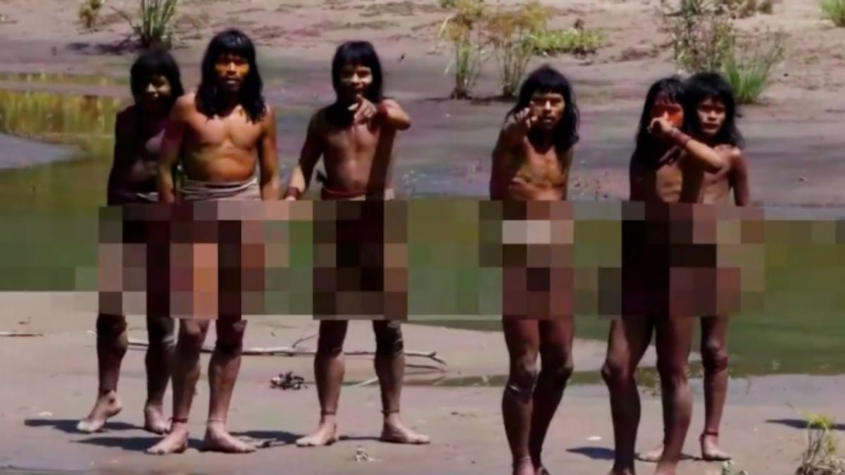 « Personne n'avait jamais fait ça » : un naturaliste filme une tribu d'Amazonie coupée du monde pour la première fois