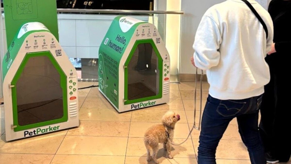 Ces supermarchés ont installé des niches intelligentes pour déposer votre chien en sécurité pendant que vous faites vos courses