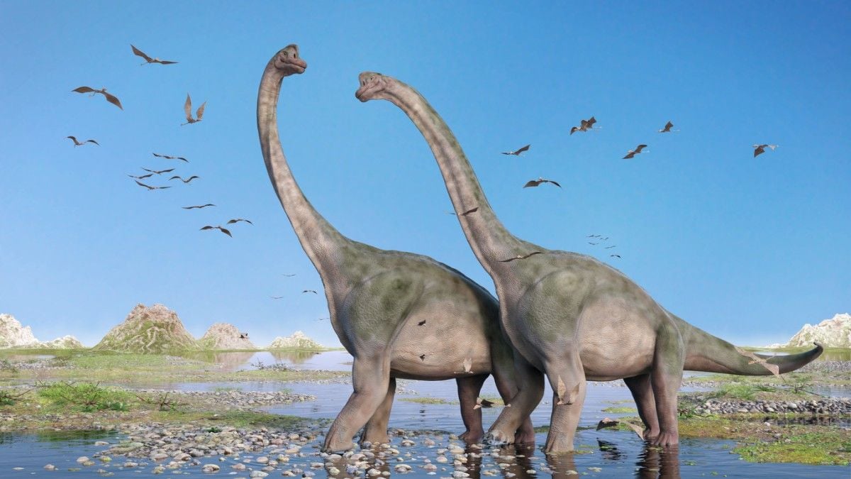 Une nouvelle espèce de dinosaure à long cou a été découverte en Chine