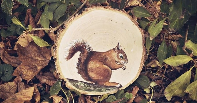 Les animaux de la forêt prennent la pose sur des troncs d'arbres pour cette artiste peintre