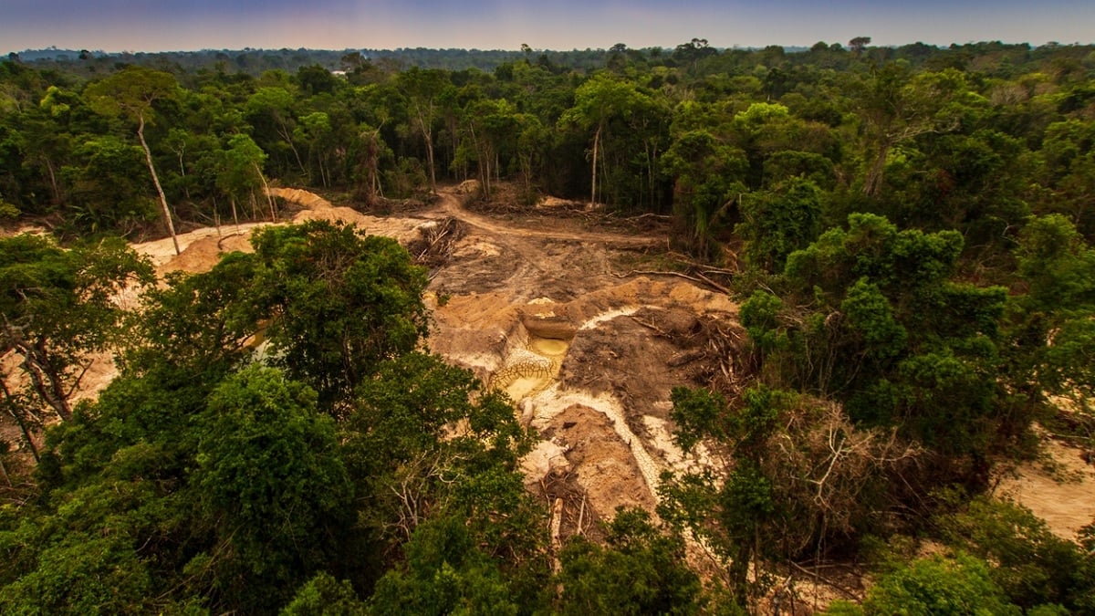 La déforestation à son plus bas niveau depuis 2018 en Amazonie, mais il n'y a pas de quoi se réjouir