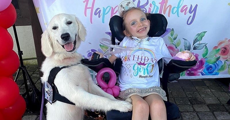 Une petite fille paralysée est devenue meilleure amie avec sa chienne d'assistance