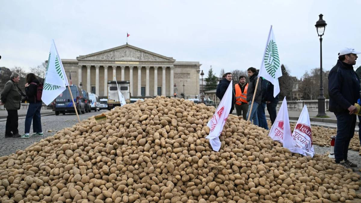 En colère, les agriculteurs déversent 20 tonnes de pommes de terre... devant l'Assemblée nationale