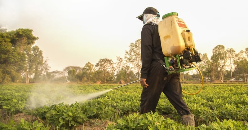 À Langouët et ses alentours, les pesticides sont désormais interdits par le maire