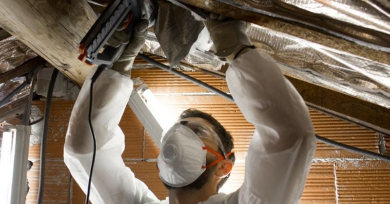 En plein travaux dans leur nouvel appartement, ils découvrent un trésor inestimable vieux de 400 ans, sous le plafond