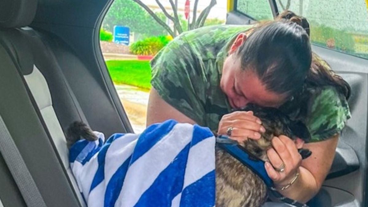 Son chien disparaît pendant une tempête, elle le retrouve... 8 ans plus tard dans des toilettes, à 480 km de sa maison