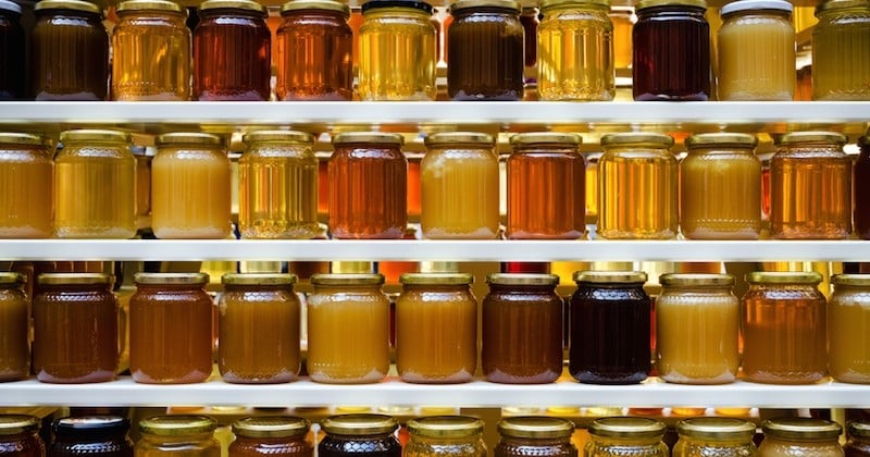 Une étude révèle que trois quarts du miel produit contiennent de l'insecticide