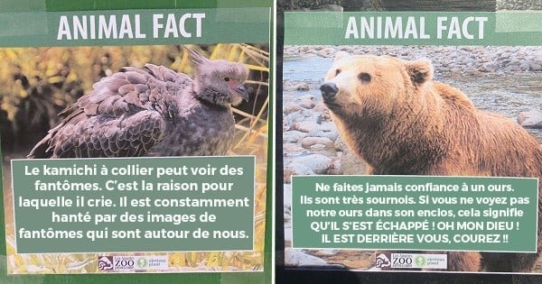 Il laisse de fausses cartes explicatives dans un zoo et le résultat est à mourir de rire !