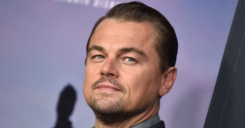 La fondation Earth Alliance de Leonardo DiCaprio verse 3 millions de dollars pour aider l'Australie contre les incendies