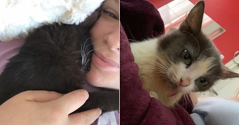Propriétaire de 2 chattes atteintes de maladies rares, elle se bat pour elles et donne une vraie leçon de vie