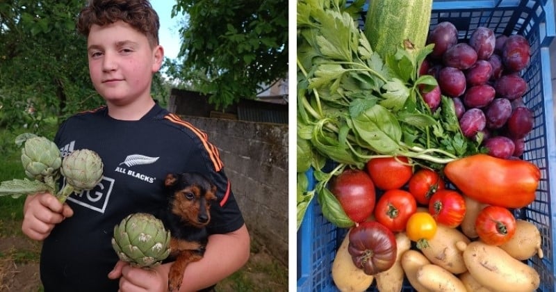 Seine-et-Marne : ce garçon de 13 ans possède son propre potager et propose des paniers de légumes bio
