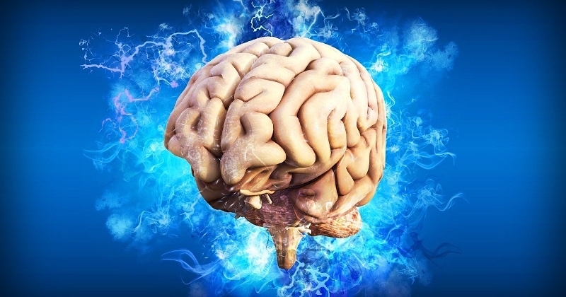 Voici à quel âge le cerveau humain commence à décliner, selon une étude scientifique 