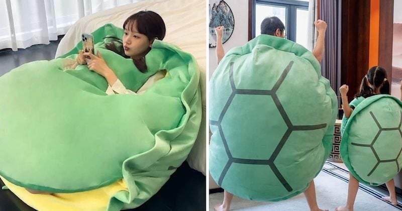 Ce coussin carapace de tortue est parfait pour faire la sieste partout