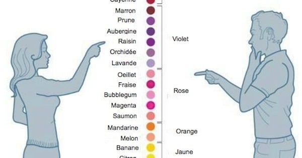 Si les hommes ont tant de mal à déceler les différences de couleur, c'est parce qu'ils voient le monde différemment des femmes — littéralement