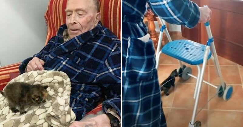 Depuis qu'ils se sont rencontrés, ce grand-père de 100 ans et ce chaton ne se quittent plus
