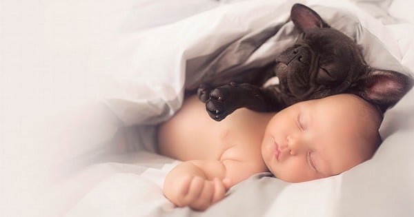 Un bébé et un bouledogue nés le même jour sont les meilleurs amis du monde... Tellement adorable !