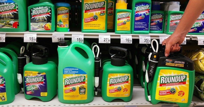 L'Union européenne renouvelle l'autorisation du glyphosate pour cinq ans de plus