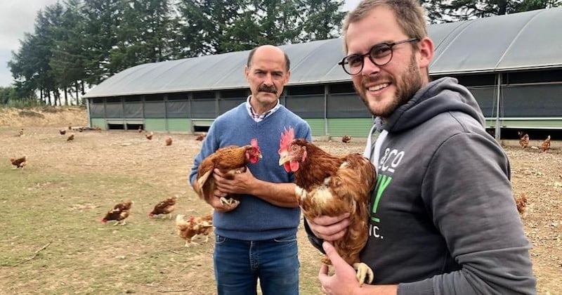 Seine-Maritime : un éleveur sauve ses 2800 poules de l'abattoir et les fait adopter	