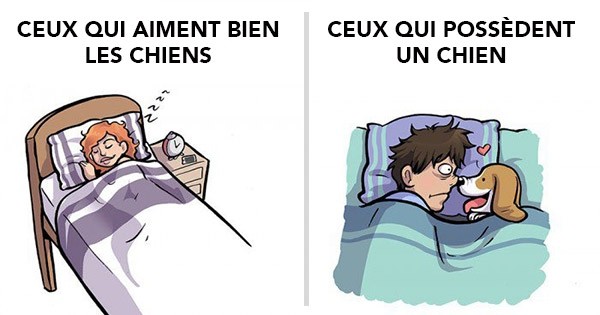 7 différences flagrantes entre le quotidien de ceux qui aiment les chiens et celui... de ceux qui sont propriétaires de chiens