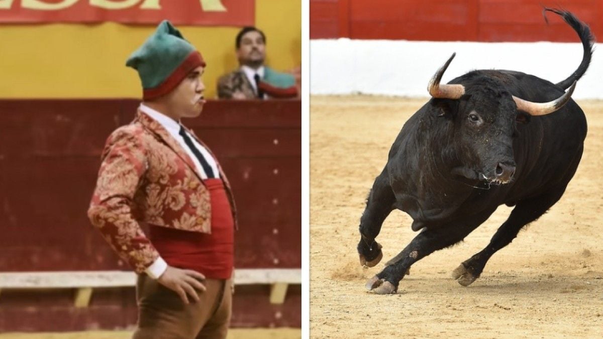 Un torero de 22 ans meurt percuté par un taureau, sa mère dénonce les commentaires “cruels” des internautes