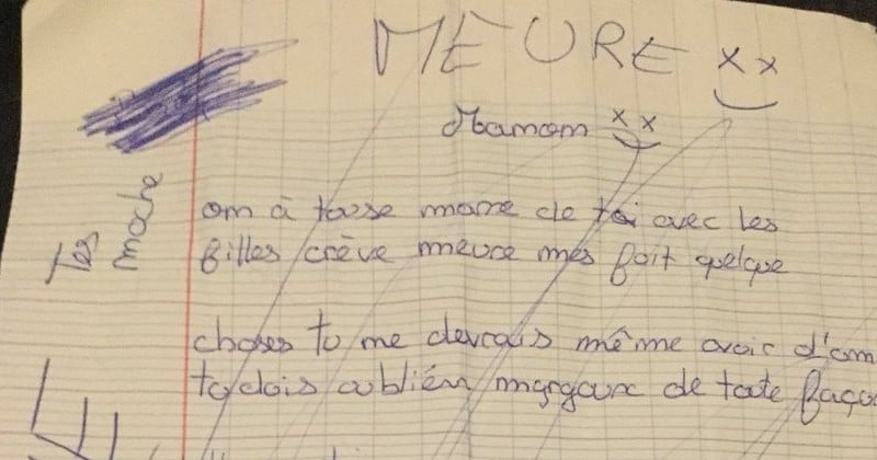 Retweetée plus de 30 000 fois, cette lettre était en réalité une fausse. L'adolescente souhaitait juste « qu'on s'intéresse à elle »