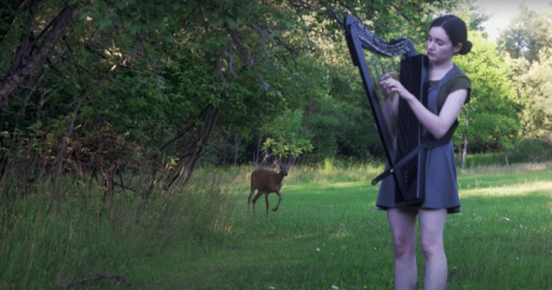 Envoutée par le son de la harpe, une biche s'invite au concert d'une jeune femme