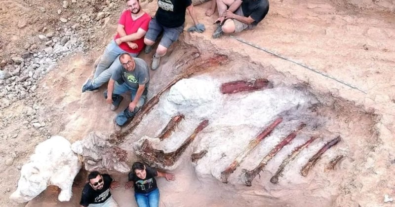 Il découvre le squelette d'un dinosaure gigantesque dans son jardin, un monstre de 24 mètres de long