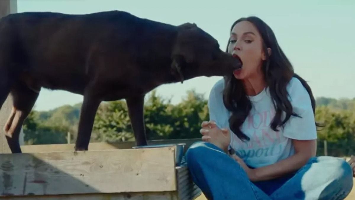 Une star de téléréalité laisse son chien pratiquer un acte «dégoûtant» sur elle, la vidéo choque les internautes